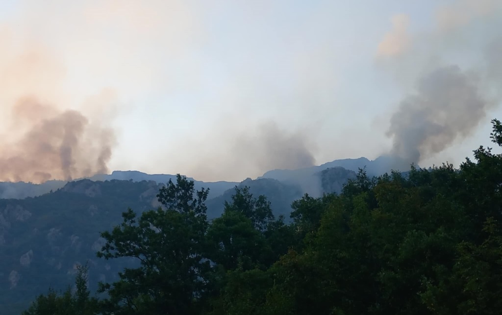 galicica17.08.2024utro1.jpg